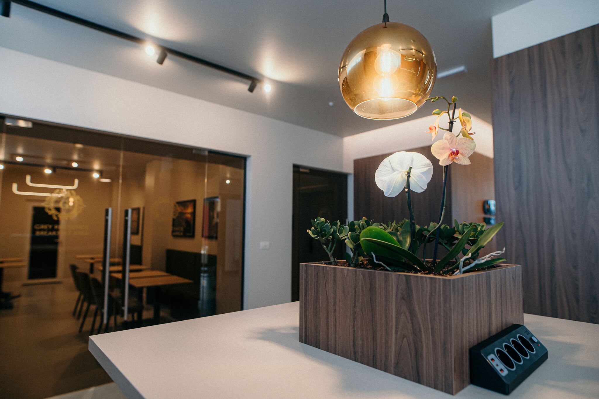 Receptia cu lampa aurie si orhidee — Grey Residence, Drobeta-Turnu Severin